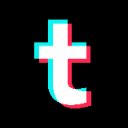 TikTok Transcript logo